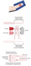 How a pulse oximeter works