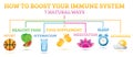 How to Boost Your Immune System. Infographic Elements