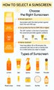 How to choose and apply sunscreen infographic. Type of sunscreen cosmetic product. Broad-spectrum, water resistant SPF protection