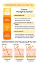 How to choose and apply sunscreen infographic. UV penetration into the layers of the skin. Broad-spectrum, water resistant SPF