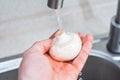 How to clean and wash champignon porcini mushroom before eating