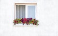 How to create a beautiful flower garden to window. Here is an attractive combination Royalty Free Stock Photo