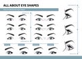 How to determine Eye Shape. Various types of female eyes. Set of vector illustrations with captions. Template for Makeup Royalty Free Stock Photo