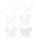 How to draw beautiful branch with magnolia flowers. Creation step by step pencil drawing. Educational page for artists.