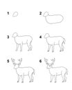 How to draw Deer step by step cartoon illustration with white background