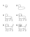 How to draw Dog step by step cartoon illustration with white background