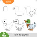 How to draw Drake for children. Step by step drawing tutorial Royalty Free Stock Photo