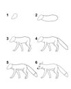 How to draw Fox step by step cartoon illustration with white background