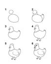 How to draw Hen with 6 step cartoon illustration with white background