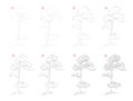 How to draw sketch of pine tree. Creation step by step pencil drawing. Educational page for artists.