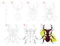 How to draw step by step a cute stag beetle. Educational page for kids. Back to school.