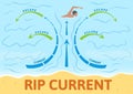 How to escape rip current. Instruction board with scheme and arrows, sign. Colorful flat vector illustration. Horizontal