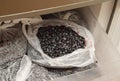 How to freeze blueberries in the refrigerator. Frozen Blueberries.