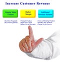 Increase Customer Revenue