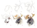 How to learn to draw sketch of a elk from nature. Creation step by step watercolor painting. Educational page for artists. Royalty Free Stock Photo