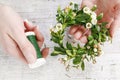 How to make easter wreath with buxus and chamelaucium wax flower tutorial Royalty Free Stock Photo