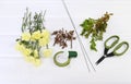 How to make Easter wreath with carnation, buxus and catkins