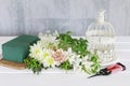 How to make floral arrangement with roses, dahlias and iris flowers inside a vintage bird cage