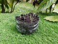 How to make recycled seedbeds, with cardboard or egg cups, other recycled materials Royalty Free Stock Photo