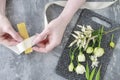 How to make wrist corsage for bride using rose and eustoma flowers Royalty Free Stock Photo