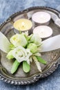 How to make wrist corsage for bride using rose and eustoma flowers, tutorial Royalty Free Stock Photo