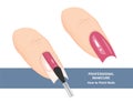 How to paint nails perfectly. Tips and Tricks. Manicure Guide. Vector