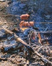 How to roast sausages. Sausages on stick with bonfire and smoke on background. Roasty toasty sausages are such Royalty Free Stock Photo