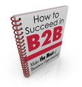 How to Succeed in B2B Business Advice Information Book