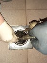 How to unclog the drain