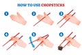 How to use chopsticks vector illustration. Eating finger gesture instruction