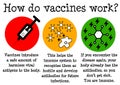 How vaccines work