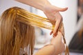 How would you like your hair. a woman having her hair cut at a salon. Royalty Free Stock Photo