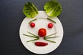 How you eat, that`s how you look. Radish, lettuce and tomato on a plate with pepper forming a face. Royalty Free Stock Photo