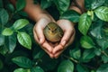 Hands Holding a Little Bird Royalty Free Stock Photo