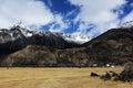 However lake scenery in Tibet Royalty Free Stock Photo