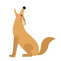Howling Coyote animal cartoon character vector illustration