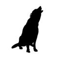 Howling gray wolf Royalty Free Stock Photo