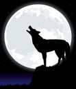 Howling wolf Royalty Free Stock Photo