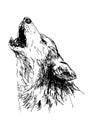 Howling wolf