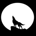 Howling wolf and moon vector illustration, background Royalty Free Stock Photo