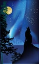 Howling wolf on rock at aurora Royalty Free Stock Photo