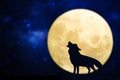 Howling wolf silhouette over a full moon Royalty Free Stock Photo