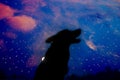 howling wolf silhuette Royalty Free Stock Photo