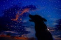 howling wolf silhuette Royalty Free Stock Photo