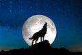 Howling wolf Royalty Free Stock Photo