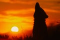 Howling Wolf in Sunrise Royalty Free Stock Photo