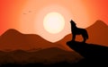Howling wolf at sunset stands on a rock