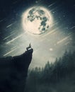 Howling wolf on the top of a cliff over night sky background with shining full moon. Wildlife scene with falling stars over the Royalty Free Stock Photo