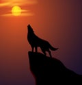 Howling Wolf Royalty Free Stock Photo