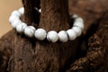 The howlite stone bracelet